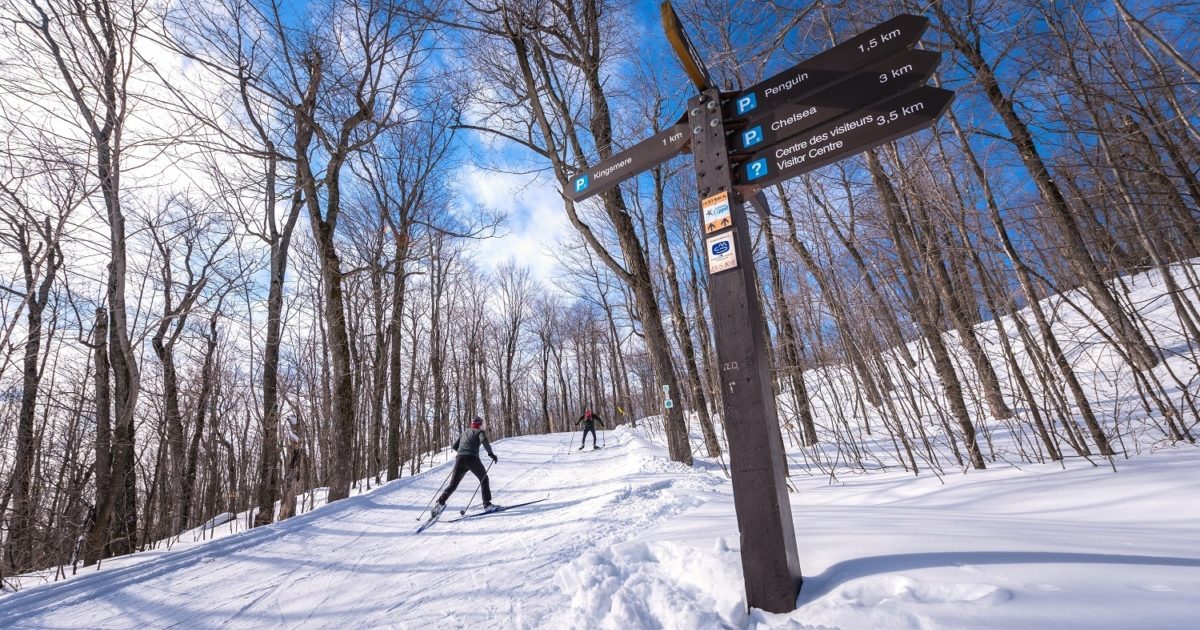 Couvre-feu et confinement au Québec : le parc de la Gatineau demeure ouvert - Commission de la ...
