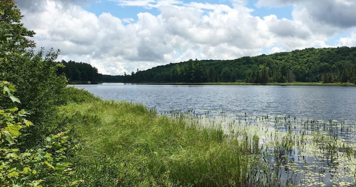 Randonnee Sur Un Sentier Meconnu Du Parc De La Gatineau Commission De La Capitale Nationale