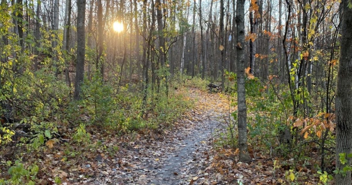 Gatineau Park S In Between Season National Capital Commission