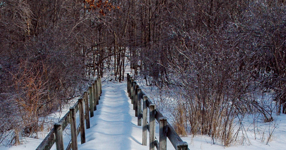 Sentier des PinsGris Commission de la capitale nationale