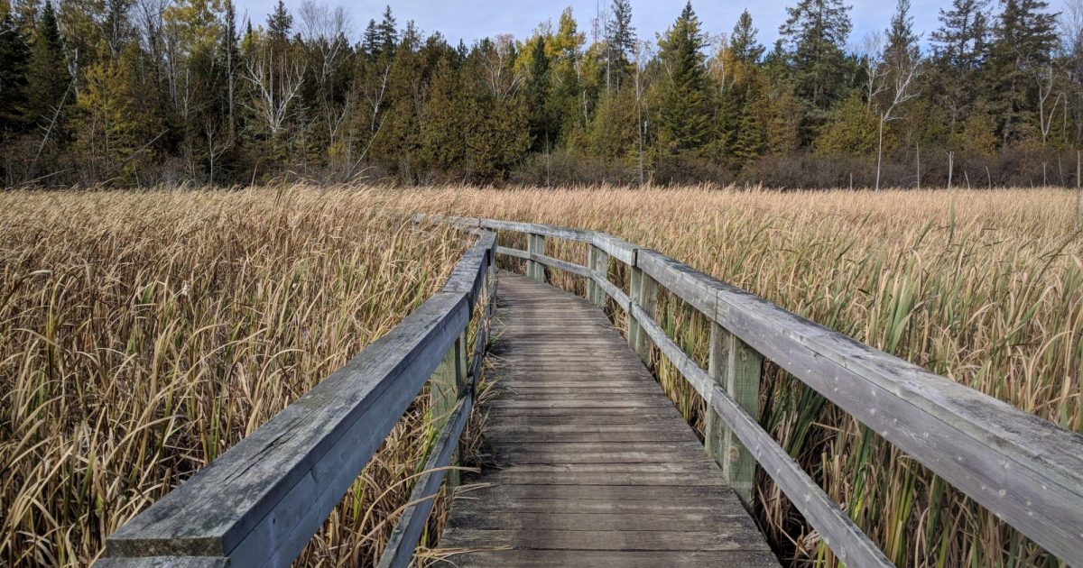 Jack Pine Trail National Capital Commission