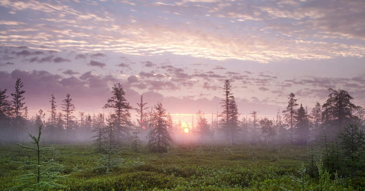 Greenbelt National Capital Commission