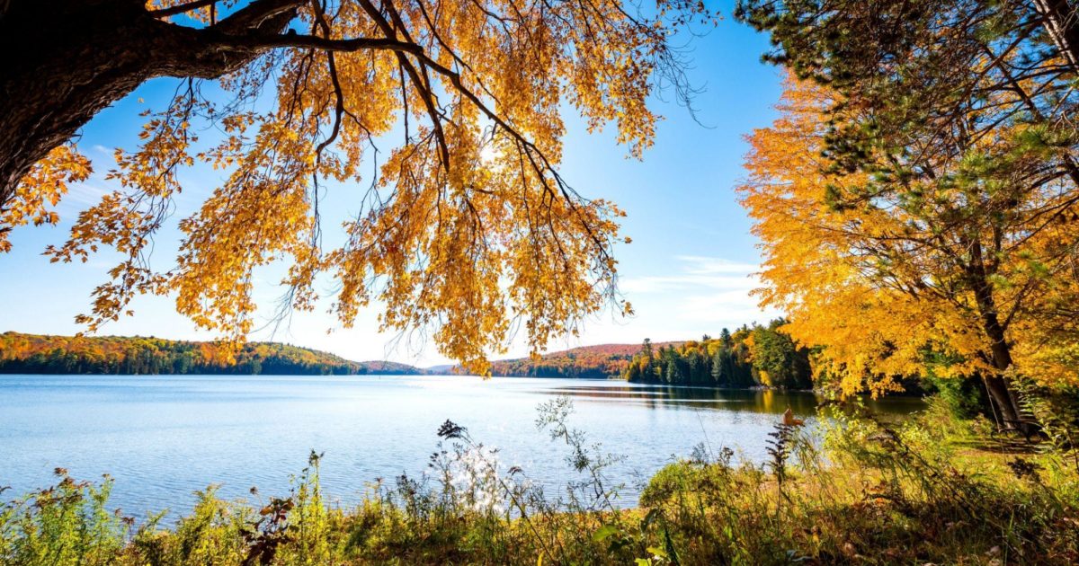 Three tips for taking in the fall colours in Gatineau Park - National ...