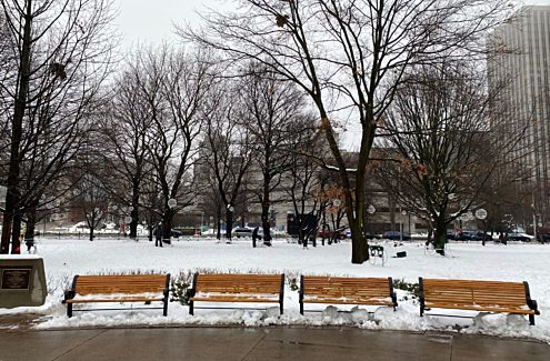 A bench in winter, located in Confederation Park.