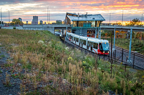 Aux plaines LeBreton, terrain de la bibliothèque dans son état actuel – un terrain vacant de 1,1 hectare situé au 665, rue Albert, à Ottawa.