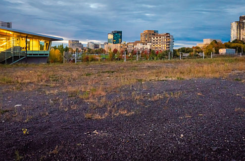 Aux plaines LeBreton, terrain de la bibliothèque dans son état actuel – un terrain vacant de 1,1 hectare situé au 665, rue Albert, à Ottawa.