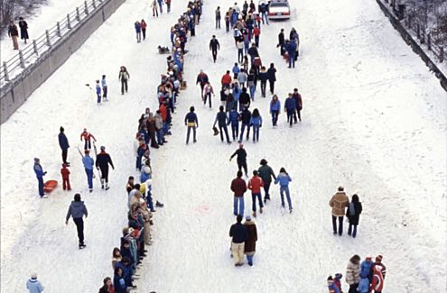 L’une de deux tentatives (1981 et 1982) pour battre le record du monde Guinness de la plus longue chaîne humaine (7,8 km), par solidarité avec Centraide.