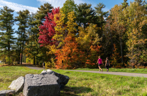 Deux personnes qui marchent et une personne à vélo sur un sentier polyvalent en automne