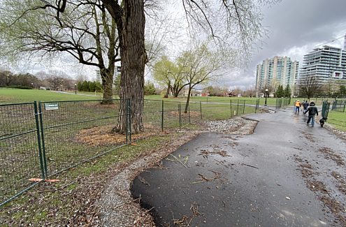Fencing installed to protect seeded lawn areas in Jacques-Cartier Park, spring 2021.