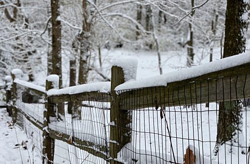 Une clôture enneigée