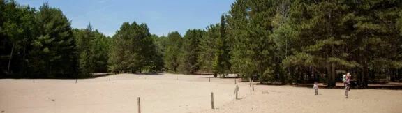 Southern Farm and Pinhey Forest