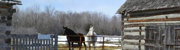 Farms in the Greenbelt