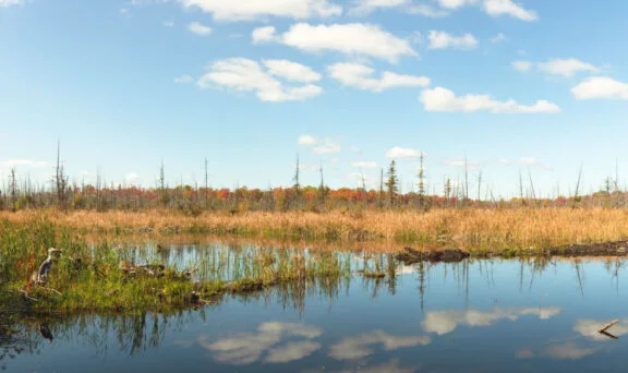 Greenbelt Master Plan