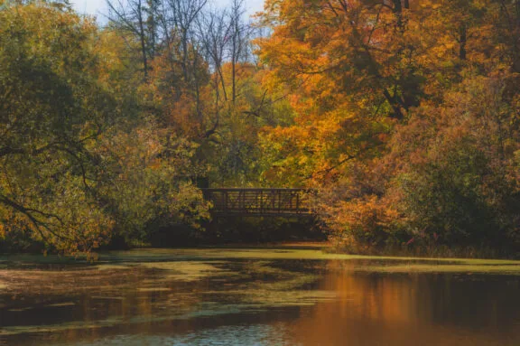 Quatre randonnées automnales dans la Ceinture de verdure
