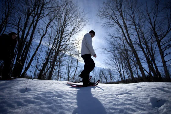 Snowshoe under the stars