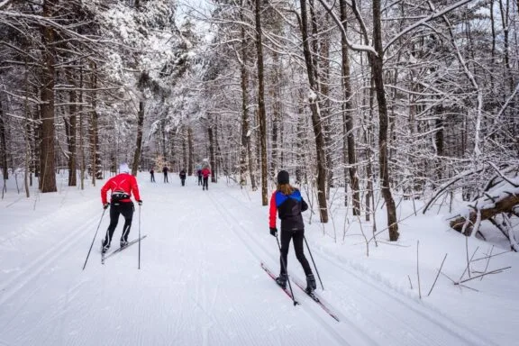 The Art of Maintaining Gatineau Park’s World-Class Ski Trails