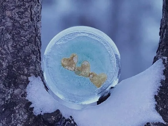 Must-see Features on Ottawa Community-maintained Winter Trails