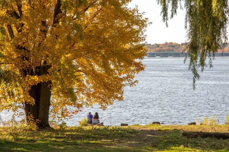Cinq randonnées automnales à Gatineau-Ottawa