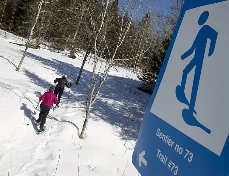 Snowshoeing in Gatineau Park