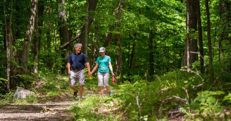 Marche Et Randonnee Pedestre Dans Le Parc De La Gatineau Commission De La Capitale Nationale