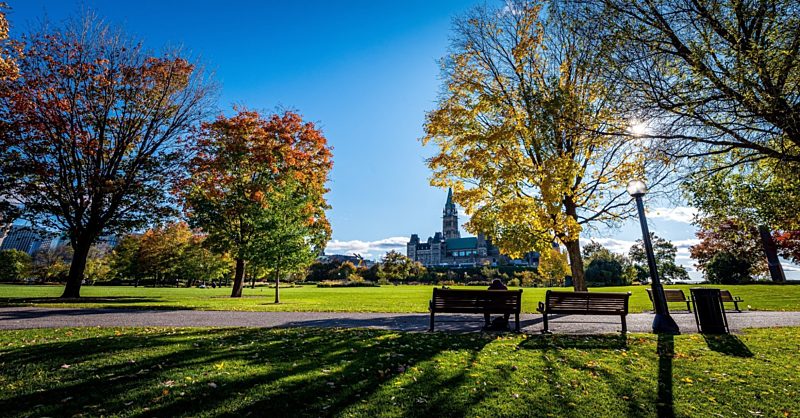 des bancs de parc commemoratifs dans la region de la capitale du canada commission de la capitale nationale
