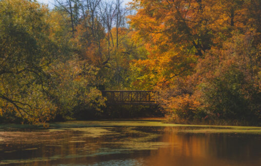 Passerelle près des rapides Black.