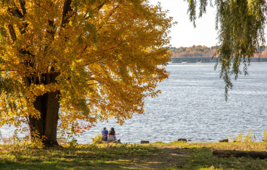 Parc des Rapides-Remic