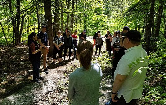 Three Biology Projects in Gatineau Park