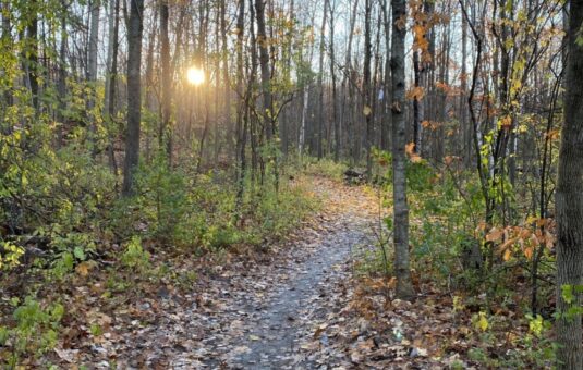 Sentier du parc de la Gatineau pendant l'entre-deux saisons