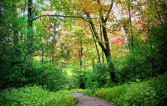 Lesser Known Greenbelt Trails to Discover This Fall
