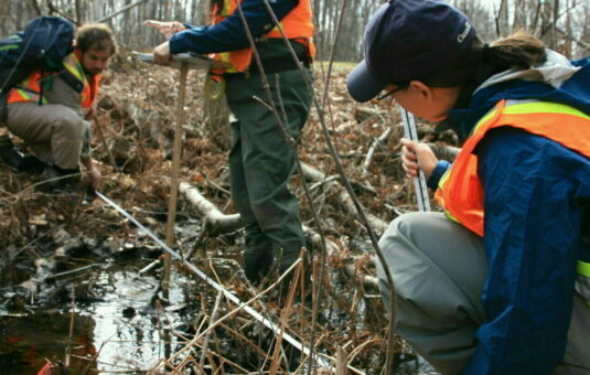 Biologists at work in the forest