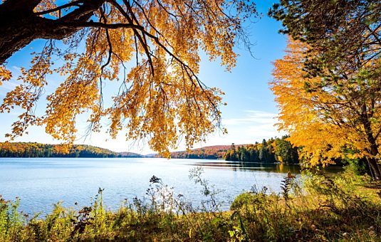Le lac Philippe en automne avec des arbres au feuillage ocre et orangé en arrière-plan.