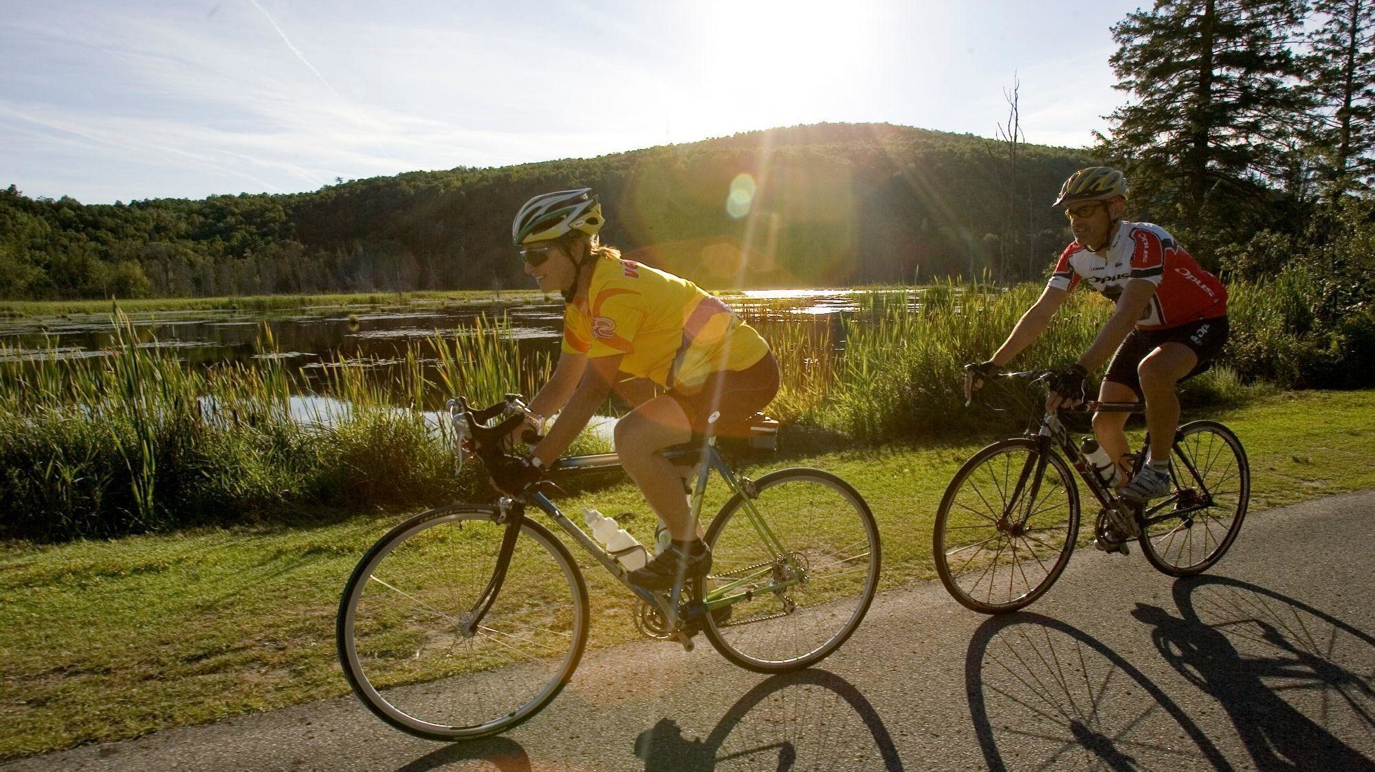 Cyclists on a Gatineau Park parkway on a summer day