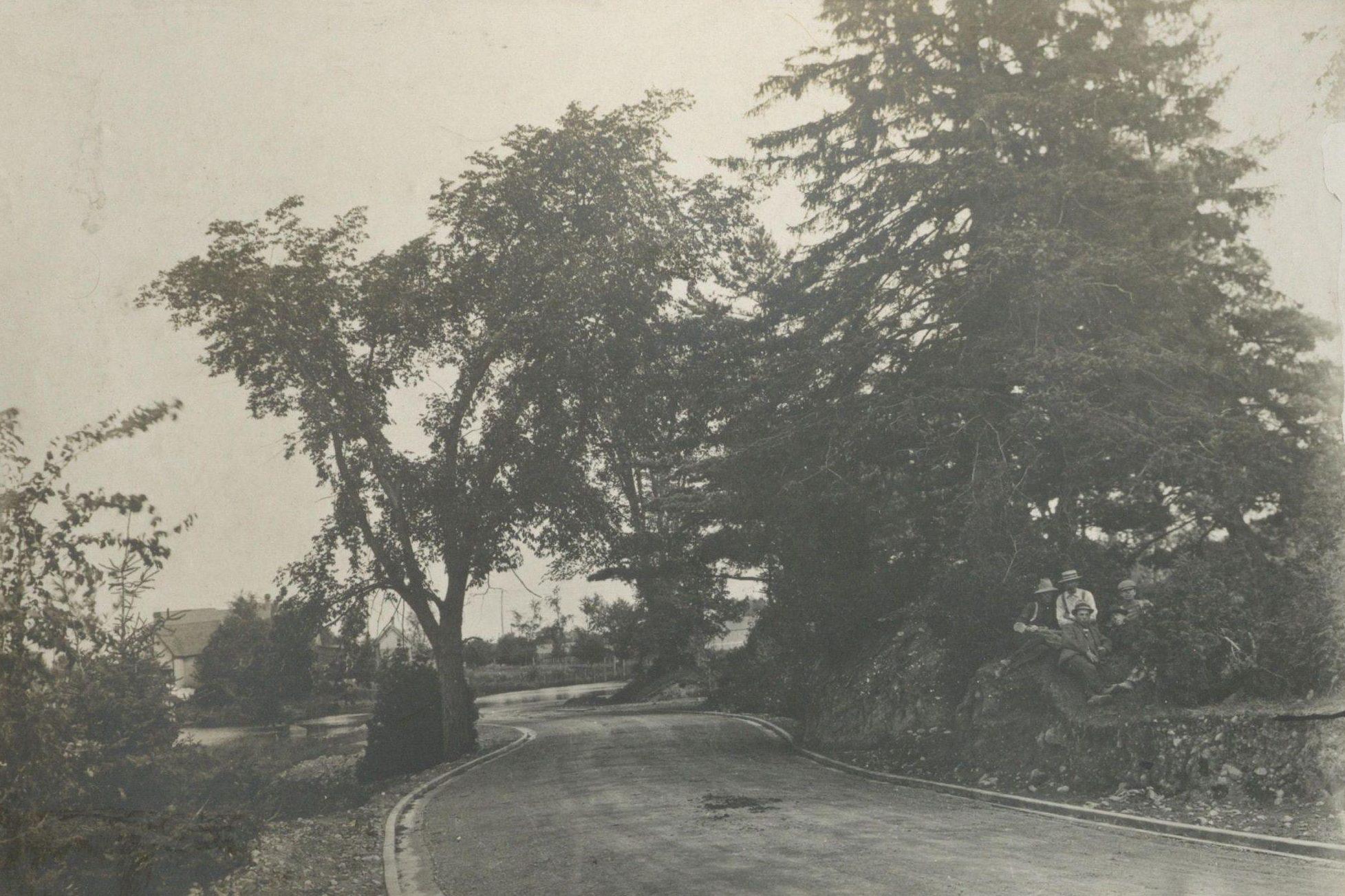 View of the Rideau Canal Driveway, winding through trees, west of Bank Street. 1902. Credit: Library and Archives Canada / E999912077