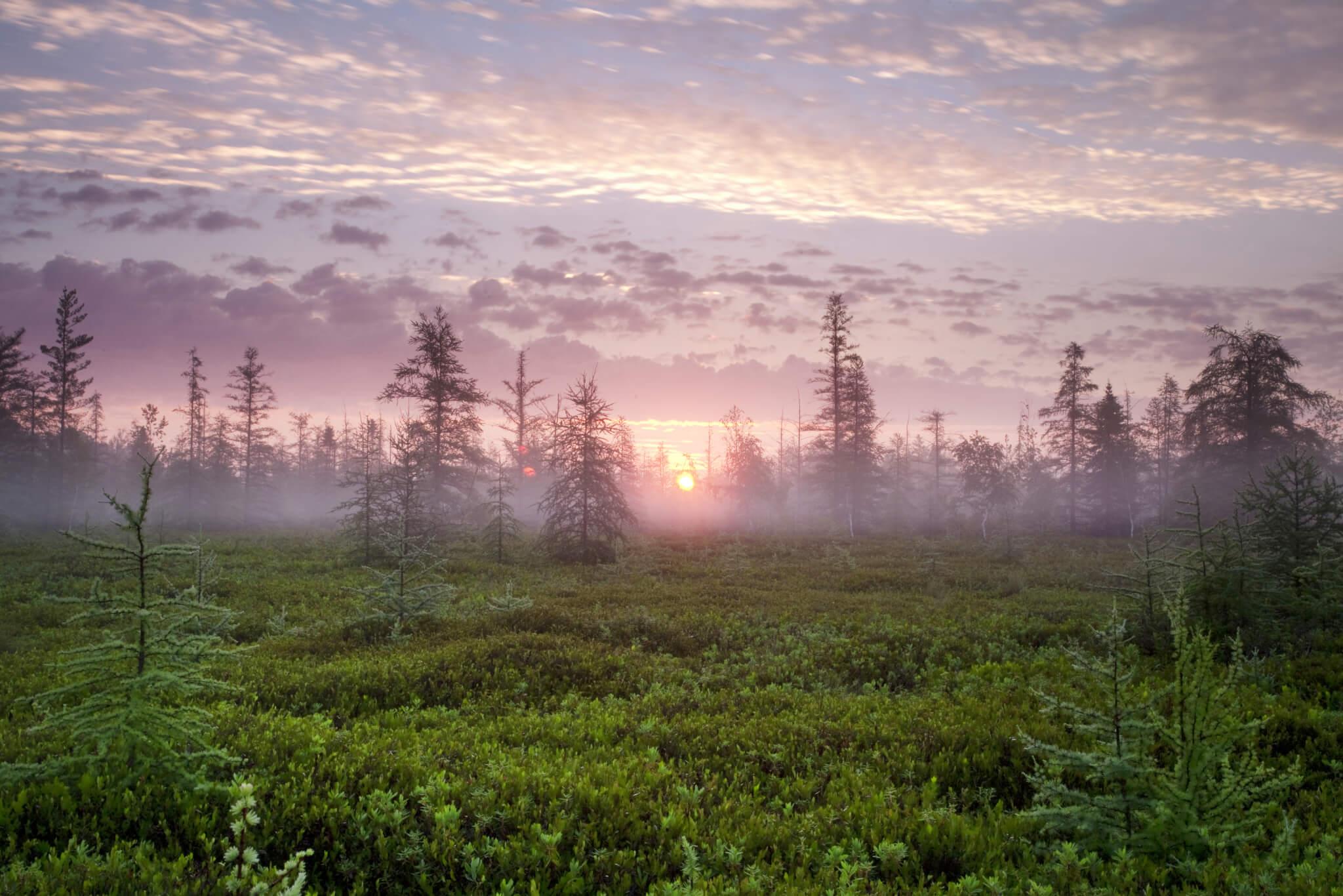 Plan directeur de la Ceinture de verdure