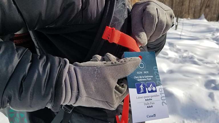A person holding up their daily pass