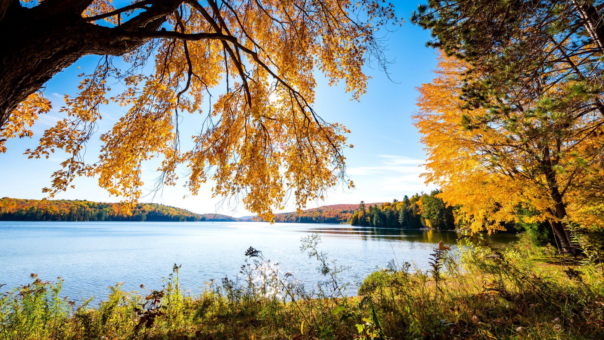 three-tips-for-taking-in-the-fall-colours-in-gatineau-park-national