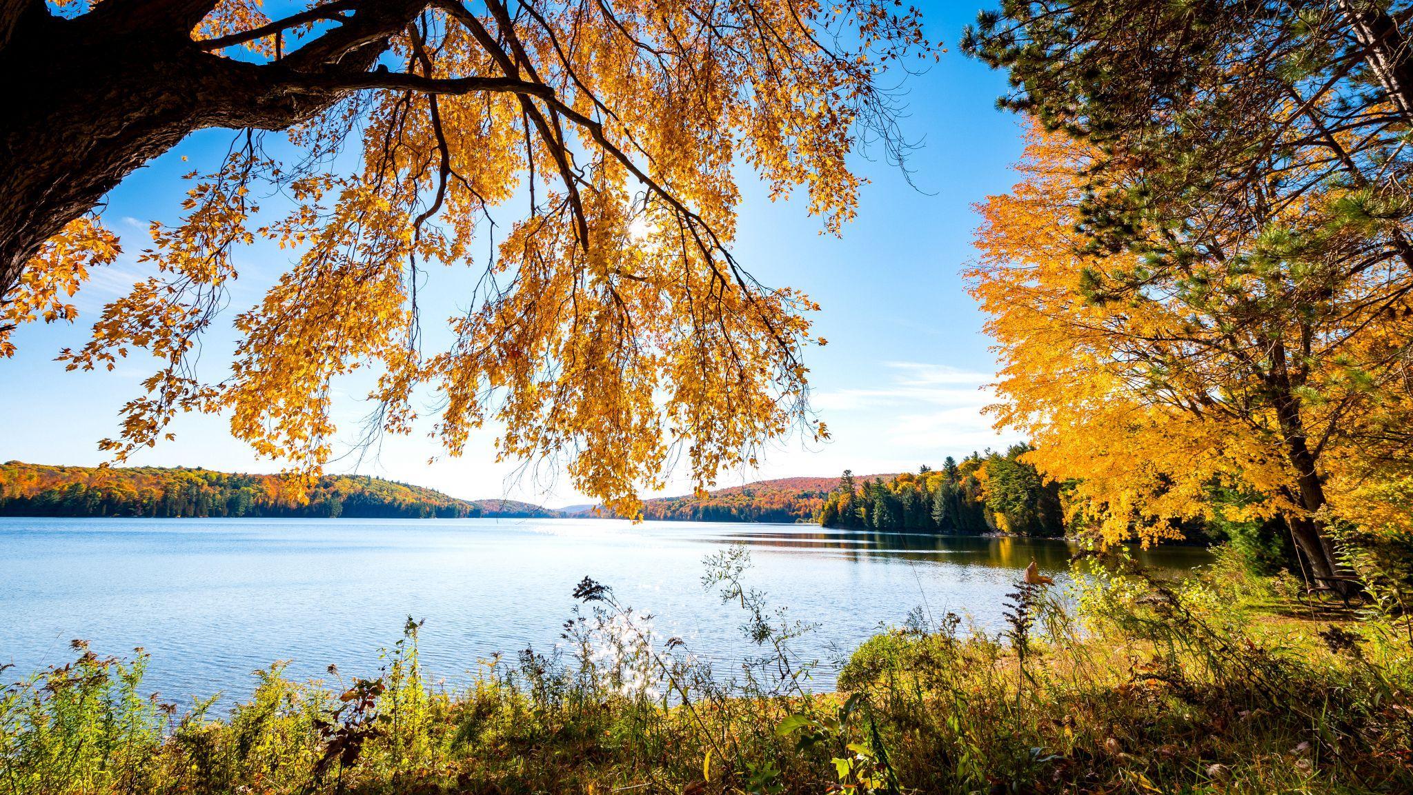 Le lac Philippe en automne avec des arbres au feuillage ocre et orangé en arrièreplan.