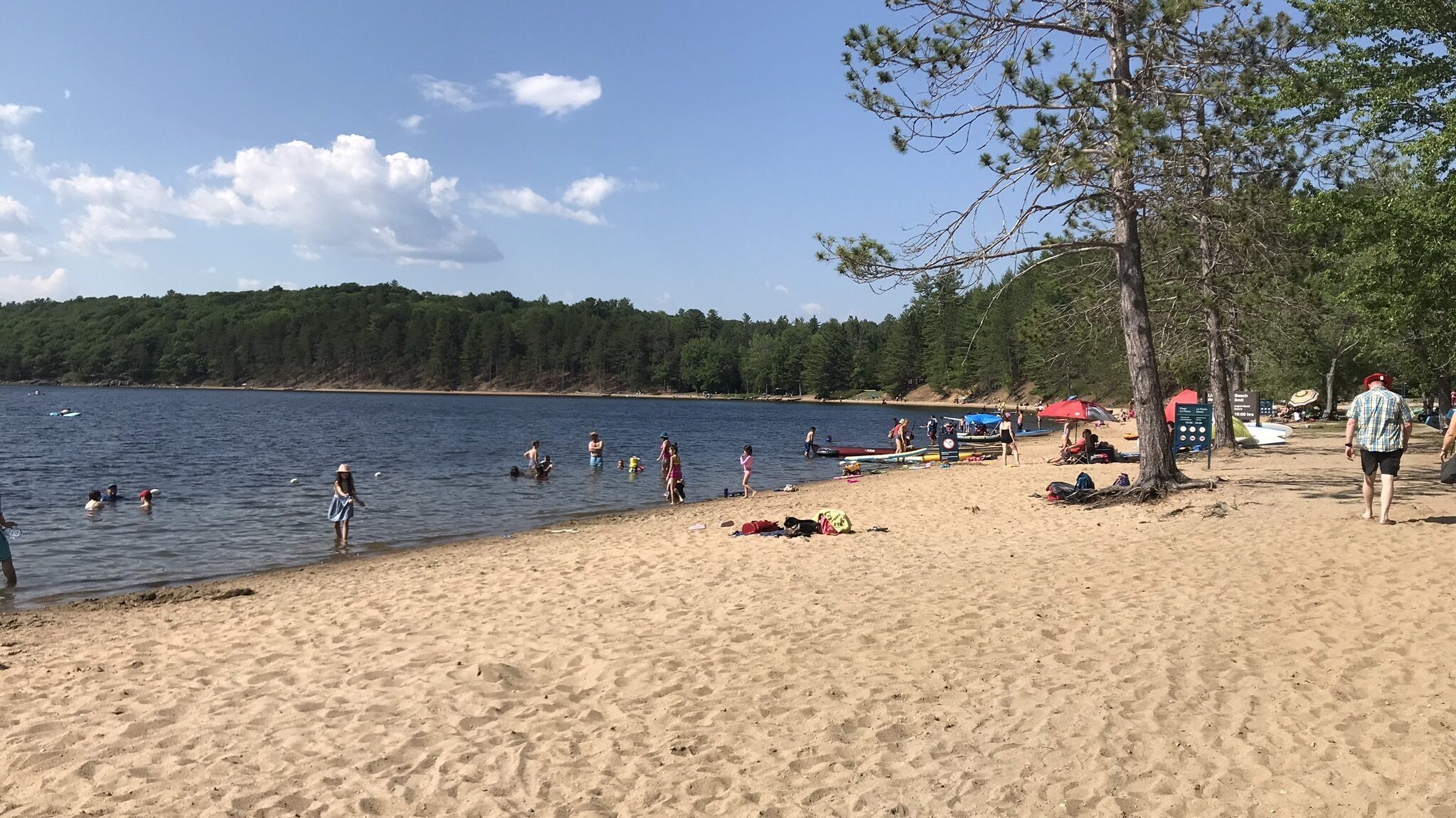 Cinq plages où savourer l'été dans le parc de la Gatineau Commission