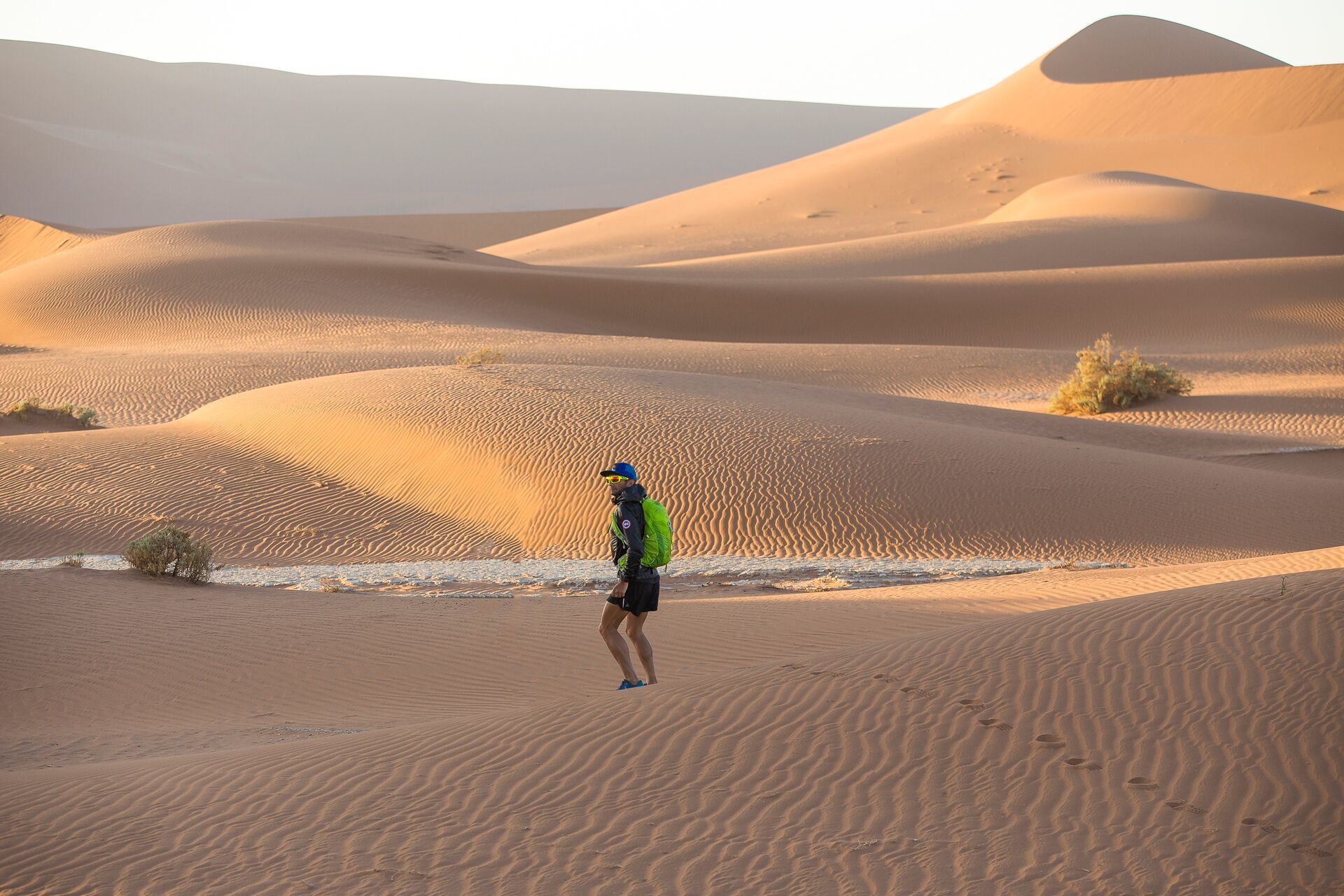 Ray in the Sahara Desert