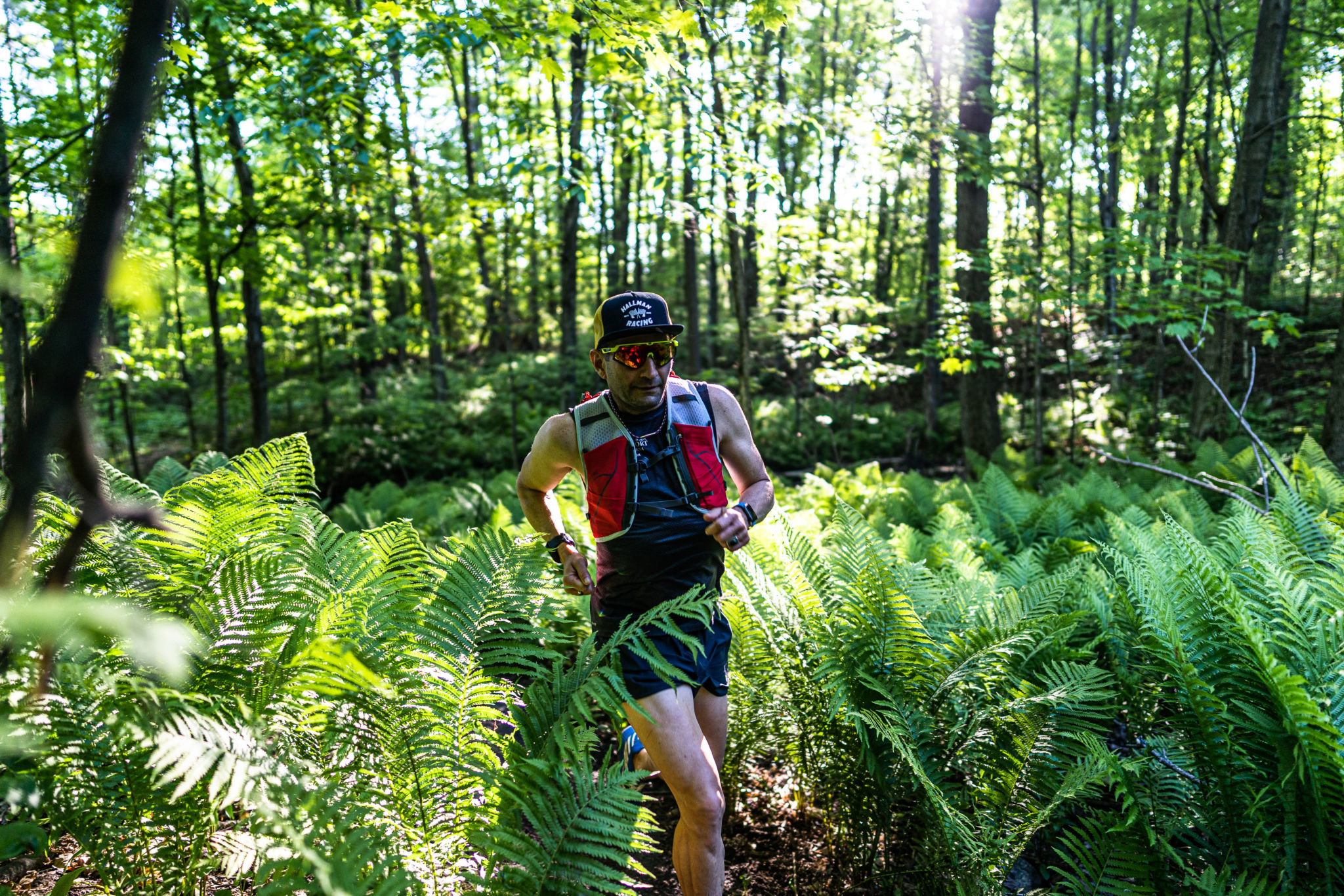 Ray in Gatineau Park