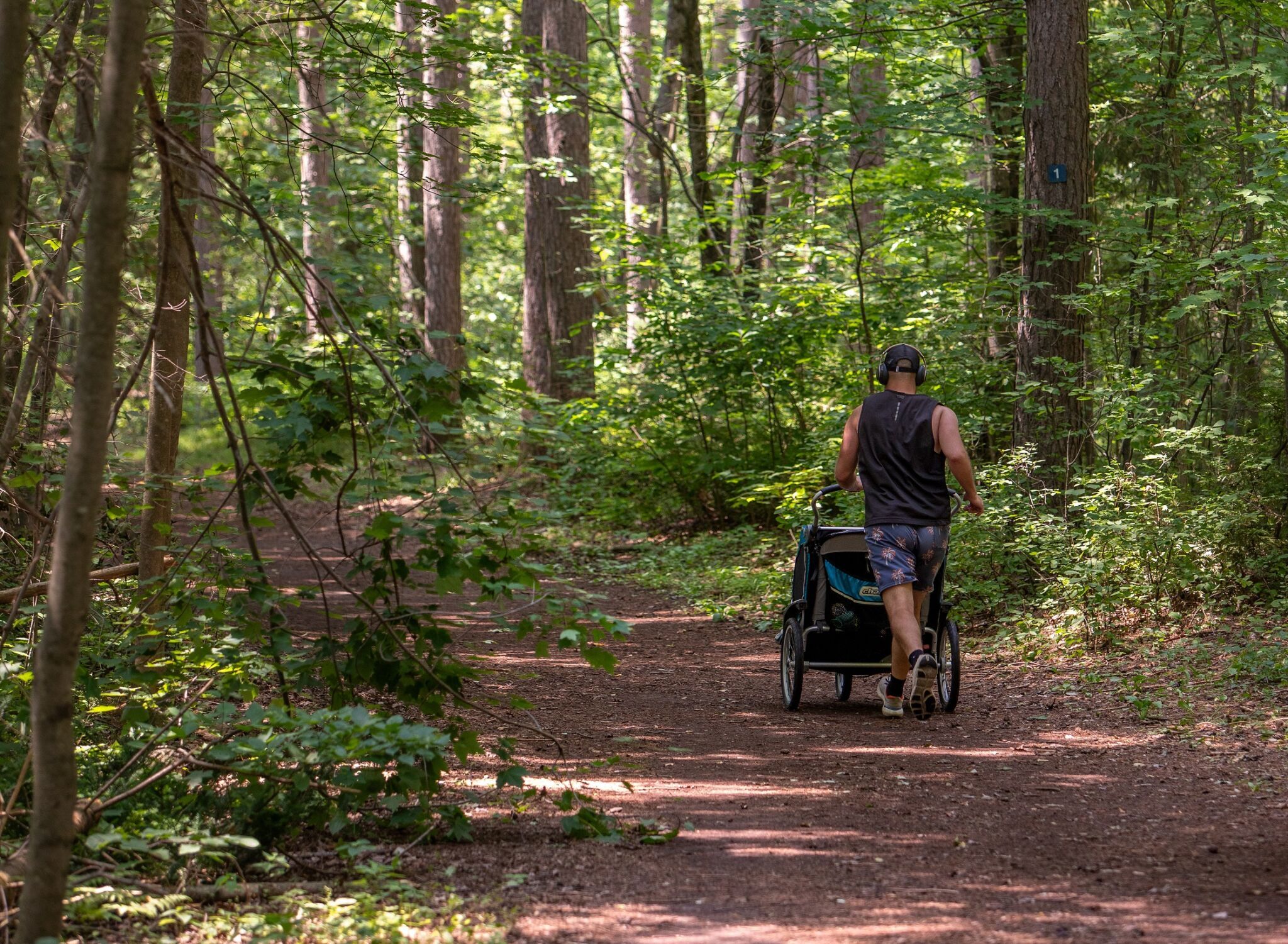 Une personne qui se promène sur un sentier avec une poussette sportive.